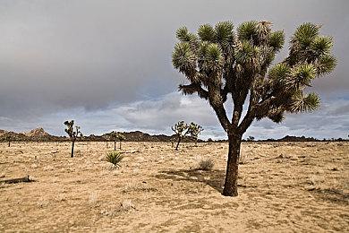 《Gretel's Honesty》Steam上线 格林童话主题冒险