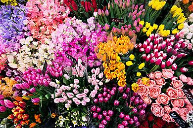 《High On Life》Steam特别好评 玩家呼吁加入中文